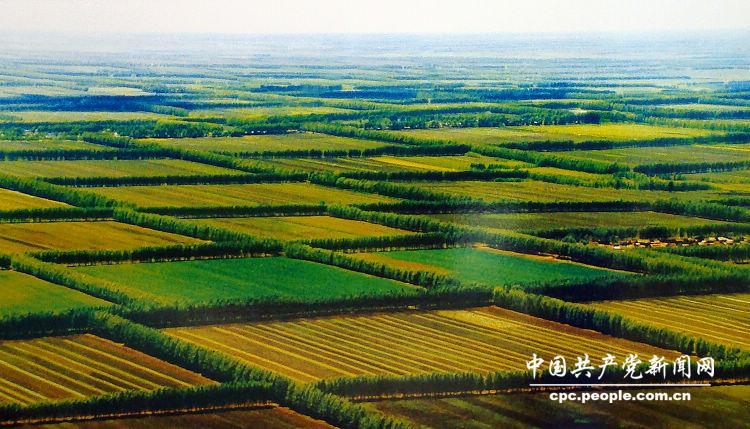 "生态文明·平原绿化工程.图为内蒙古赤峰市农田防护林.