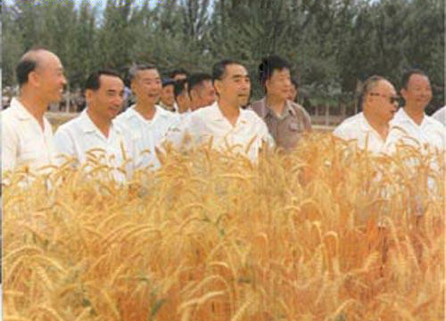 1956年7月，陶峙岳（左四）與王恩茂（左一）、塞福鼎（左二）陪同周恩來總理和陳毅副總理，視察新疆石河子農墾區