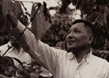鄧小平在海南島興隆華僑農場咖啡園