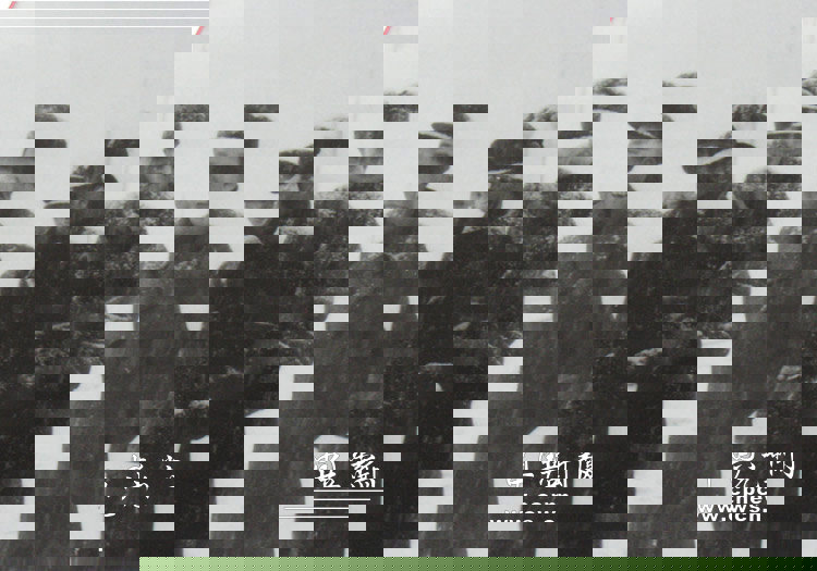 1953年，毛主席在赴武漢途中，趕上下大雪。毛主席在鄭州火車站臨時下車散步，體會“瑞雪兆豐年”的欣喜。