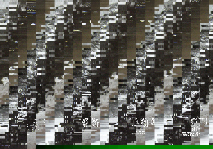 1955年，毛主席參觀全國美術展覽。凝望每件藝術作品都會引發他老人家的詩人情懷。