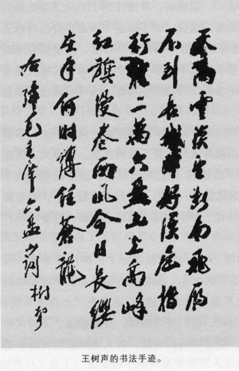 王樹聲的書法手跡