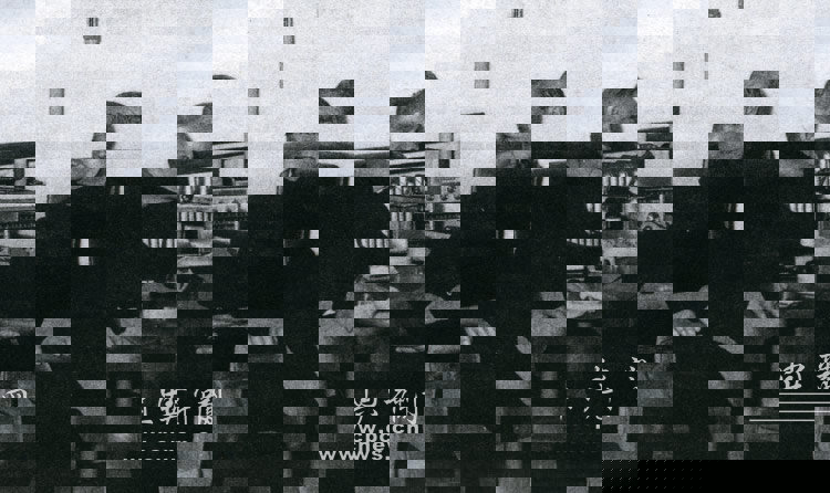 1984年1月13日，陳雲與胡喬木交談