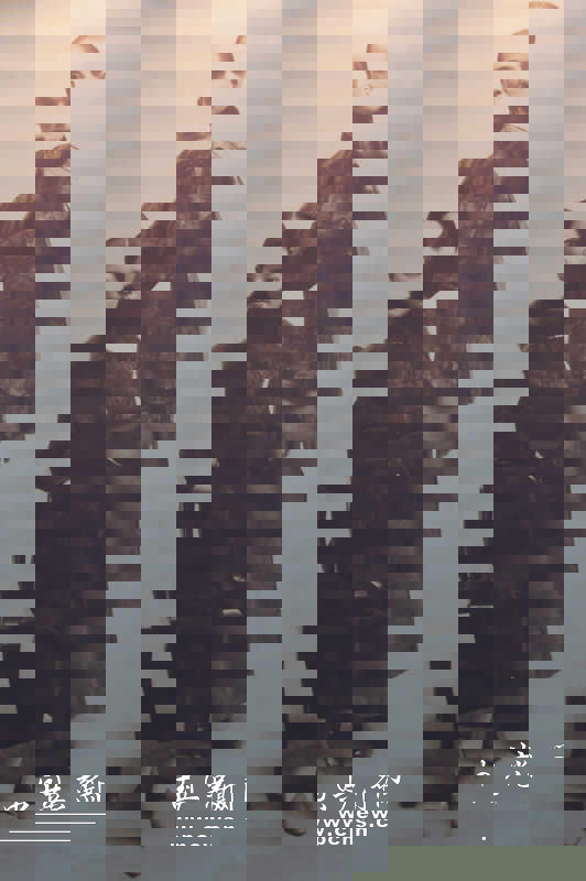 1919年冬，孫中山與宋慶齡在上海合影，紀念結婚四周年。（本網資料圖片 來源：北京宋慶齡故居紀念館）