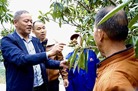 ��������Ա�͵����÷���