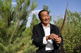 �Ľ�ɳĮ������