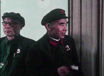 审查林彪、陈伯达集团