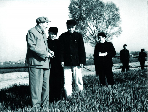 1959年，毛泽东主席视察大辛庄。